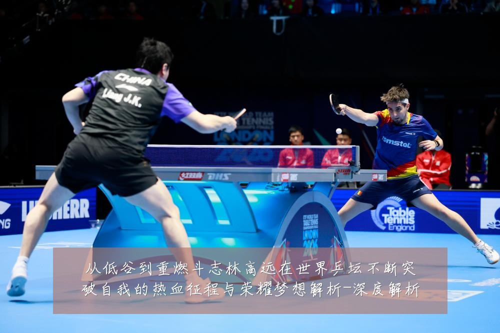从低谷到重燃斗志林高远在世界乒坛不断突破自我的热血征程与荣耀梦想解析-深度解析
