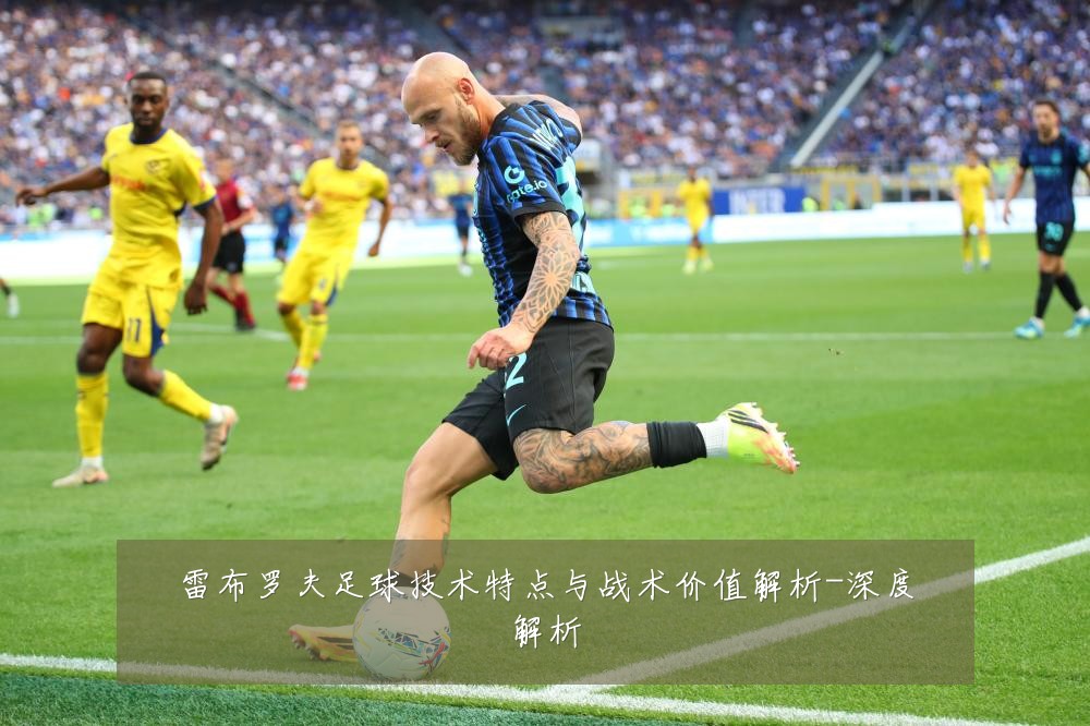 雷布罗夫足球技术特点与战术价值解析-深度解析